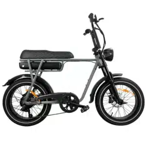 EB2 Pro - Fatbike - Grijs