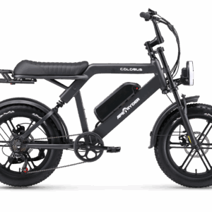 Ape Ryder Colobus Premium E-bike - Hoogwaardige Elektrische Fiets